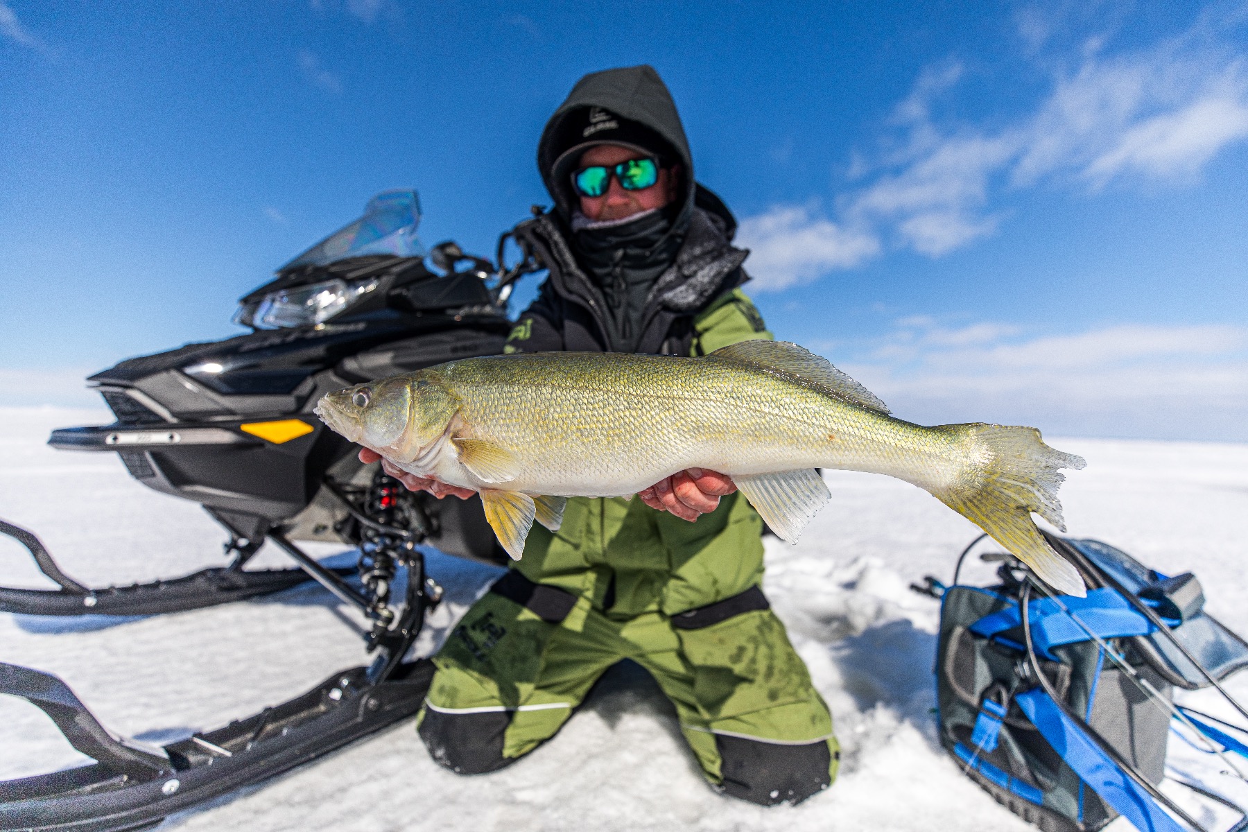 Live Imaging Transducer Covers