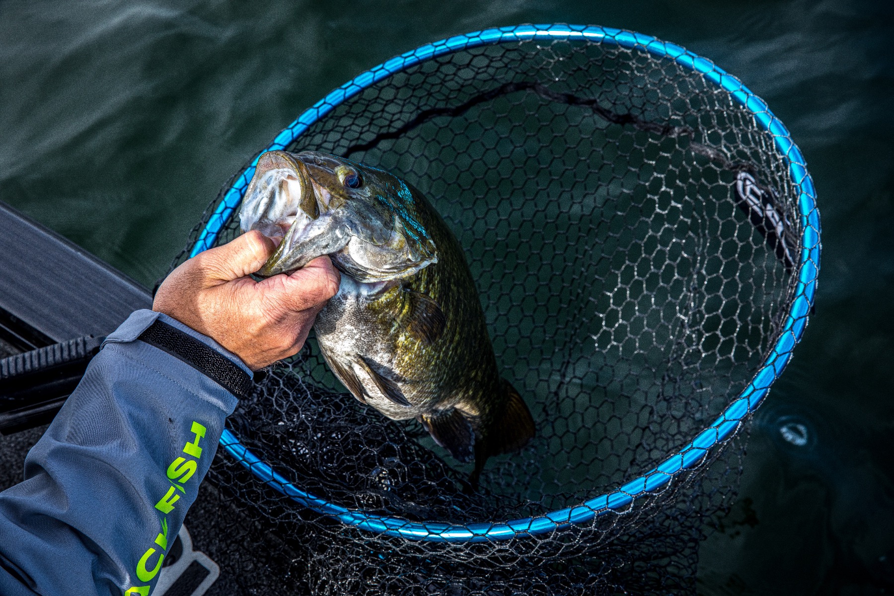 Fortis 235 Coated Net