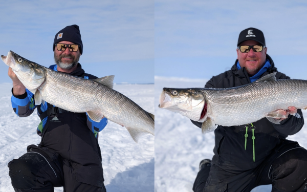 Chasing Inconnu: Ice Fishing the Arctic Circle for Sheefish
